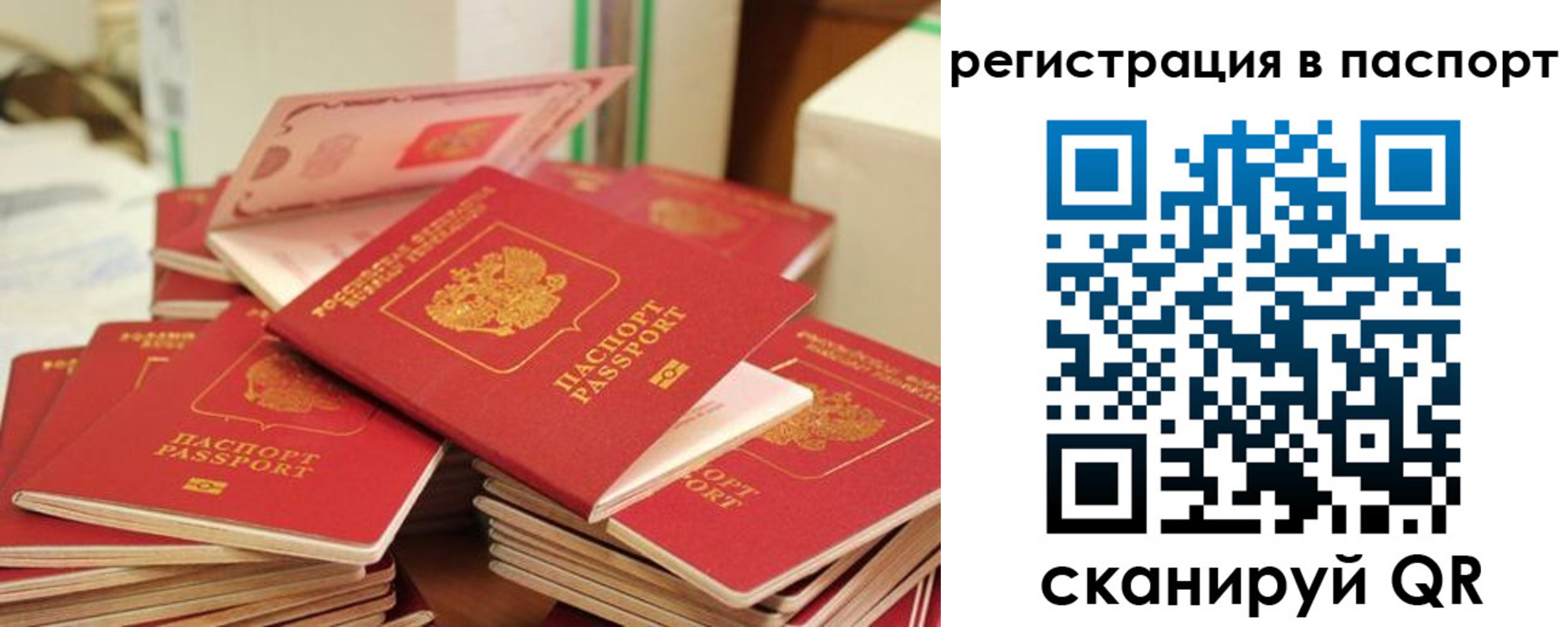 регистрация для школы в Сланцах